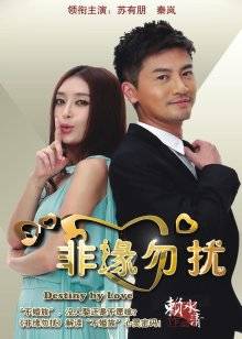 Npxvip-御姐黑丝 [22P 1V/377MB]